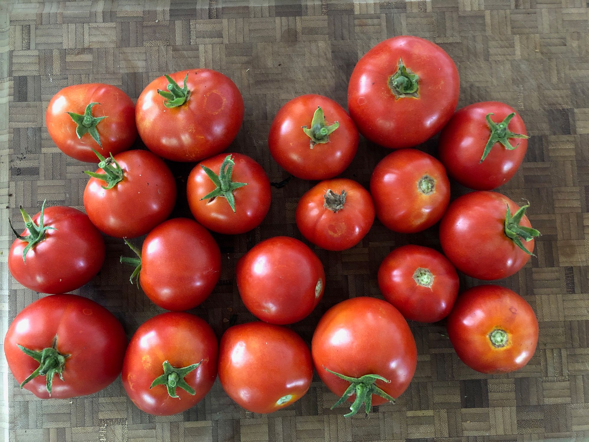Fresh garden tomatoes arranged on a patterned cutting board