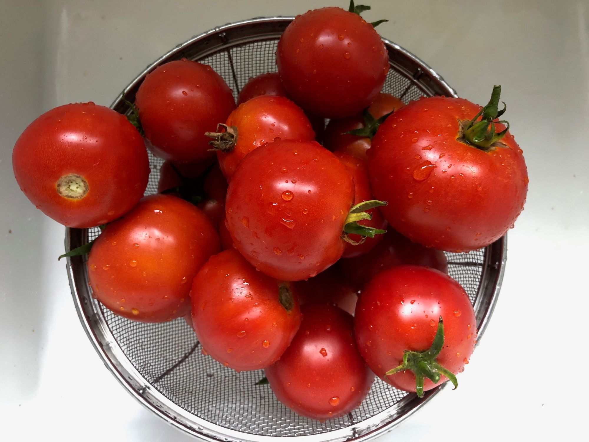 Rinsed garden tomatoes piled in a metal colander